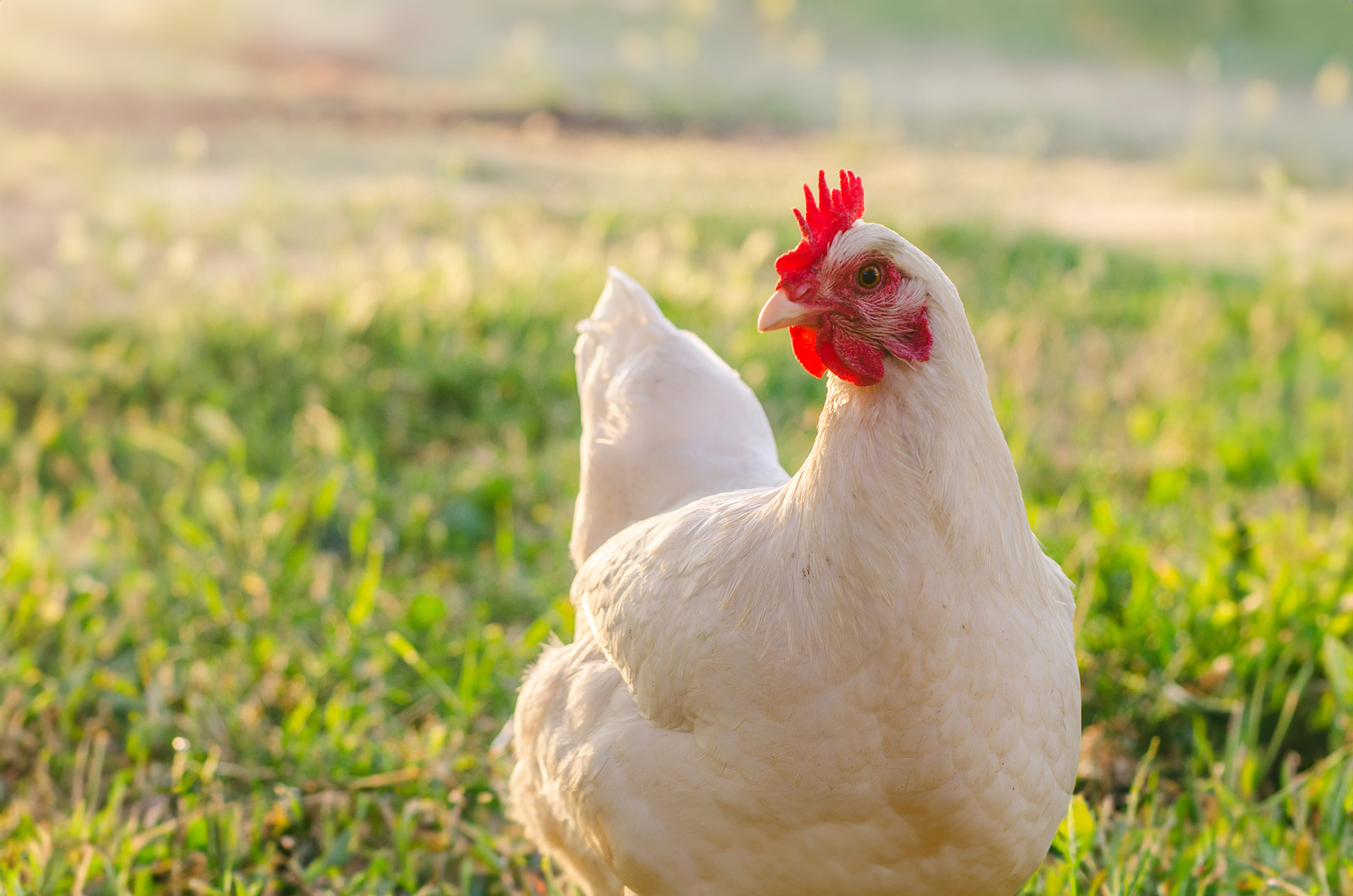 Milly_1720242832-(1)